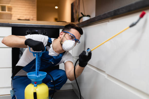 Professional Pest Control in Yates Center, KS