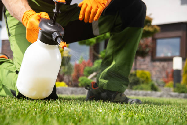 Best Termite Control Services  in Yates Center, KS