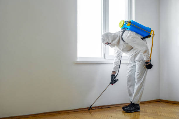 Best Termite Control Services  in Yates Center, KS