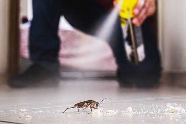Best Mosquito Control Services  in Yates Center, KS
