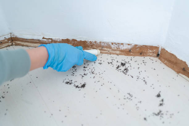 Best Pest Inspection Near Me  in Yates Center, KS