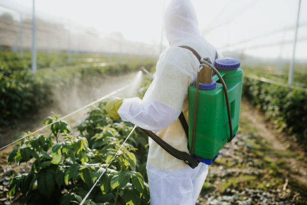 Best Pest Prevention Services  in Yates Center, KS